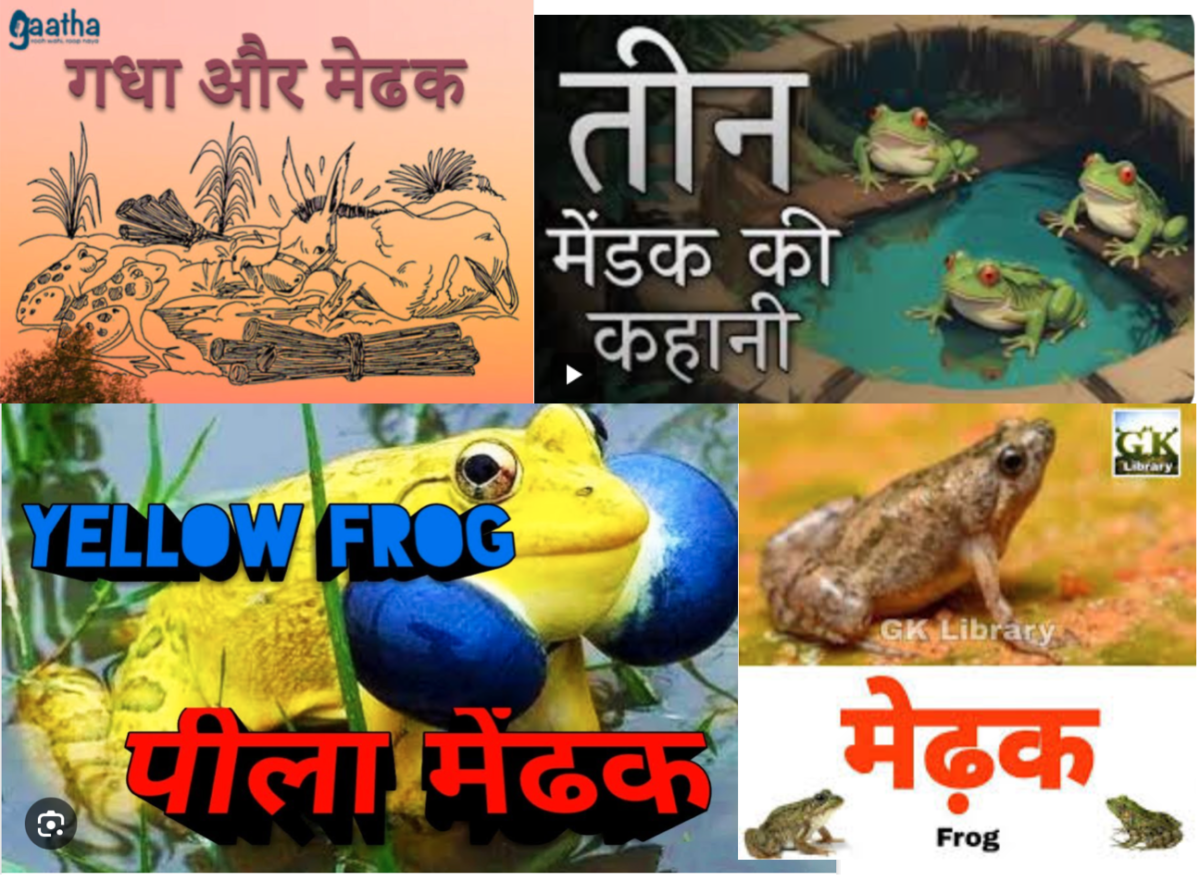 Hindi word for frog मेंढक मेढख मेढ़क or मेंडक